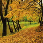 Miniatura fototapety Herbstlandschaft