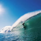 Miniatura fototapety Surfer auf der Welle