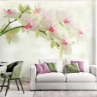 Miniatura fototapety Weiße Orchideen we wnętrzu pokoju nastolatka