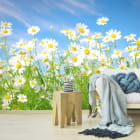 Miniatura fototapety Gänseblümchen im Sommer we wnętrzu salonu
