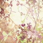 Miniatura fototapety Abstrakte Illustration