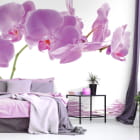 Miniatura fototapety Rosa Orchideen we wnętrzu sypialni