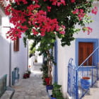 Miniatura fototapety Blühende Gasse