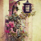 Miniatura fototapety Laterne in Blumen