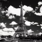 Miniatura fototapety Eiffelturm schwarz und weiß