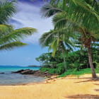 Miniatura fototapety Sandstrand
