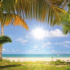 Miniatura fototapety Palmen und Meer