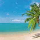 Miniatura fototapety Goldener Strand