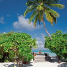 Miniatura fototapety Strand und Palmen