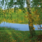 Miniatura fototapety Waldsee