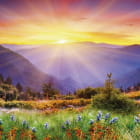 Miniatura fototapety Rosa Sonnenuntergang