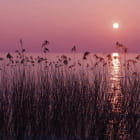 Miniatura fototapety Abendlicher Sonnenuntergang