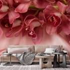 Miniatura fototapety Rote Orchideen we wnętrzu salonu