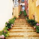 Miniatura fototapety Straße mit Blumen
