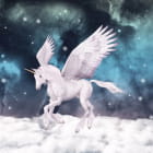 Miniatura fototapety Geflügeltes Einhorn