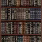 Miniatura fototapety Einzigartige Bücher