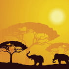 Miniatura fototapety Elefanten in Afrika