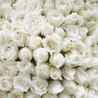 Miniatura fototapety Strauß weißer Rosen