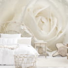 Miniatura fototapety Rose mit Tropfen we wnętrzu sypialni