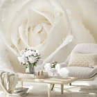 Miniatura fototapety Rose mit Tropfen we wnętrzu salonu