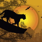 Miniatura fototapety Panther bei Sonnenuntergang