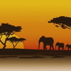 Miniatura fototapety Sonnenuntergang in Afrika