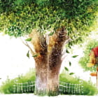 Miniatura fototapety Großer Baum