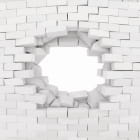 Miniatura fototapety Zerbrochener weißer Ziegelstein