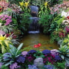 Miniatura fototapety Blühender Garten am Wasserfall