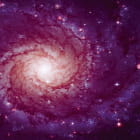 Miniatura fototapety Sterngalaxie 