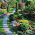 Miniatura fototapety Londoner Park