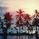 Miniatura fototapety Sonnenuntergang unter Palmen