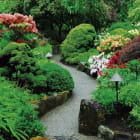 Miniatura fototapety Wunderschöner blühender Garten