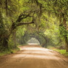 Miniatura fototapety Straße im Wald