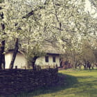 Miniatura fototapety Gemütliches Haus im Dorf