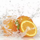 Miniatura fototapety Orangen im Wasser