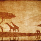 Miniatura fototapety Afrika-Landschaft