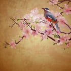 Miniatura fototapety Schöner Vogel