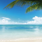 Miniatura fototapety Natur und Meer