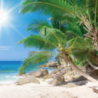 Miniatura fototapety Palmen Strand Meer
