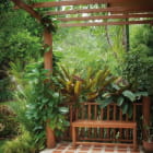 Miniatura fototapety Dschungelterrasse