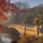 Miniatura fototapety Morgendämmerung im Herbstpark 