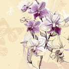 Miniatura fototapety Lila Orchideenzeichnung