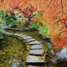 Miniatura fototapety Chinesischer Park