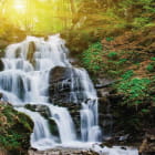 Miniatura fototapety Wasserfall mitten im Wald