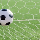 Miniatura fototapety Der Ball ist im Tor
