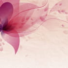 Miniatura fototapety Luftige rosa Blume