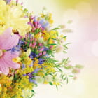 Miniatura fototapety Strauß wilder Blumen