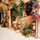 Miniatura fototapety Blumenstraße in Spanien