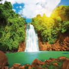 Miniatura fototapety Tropischer Wasserfall